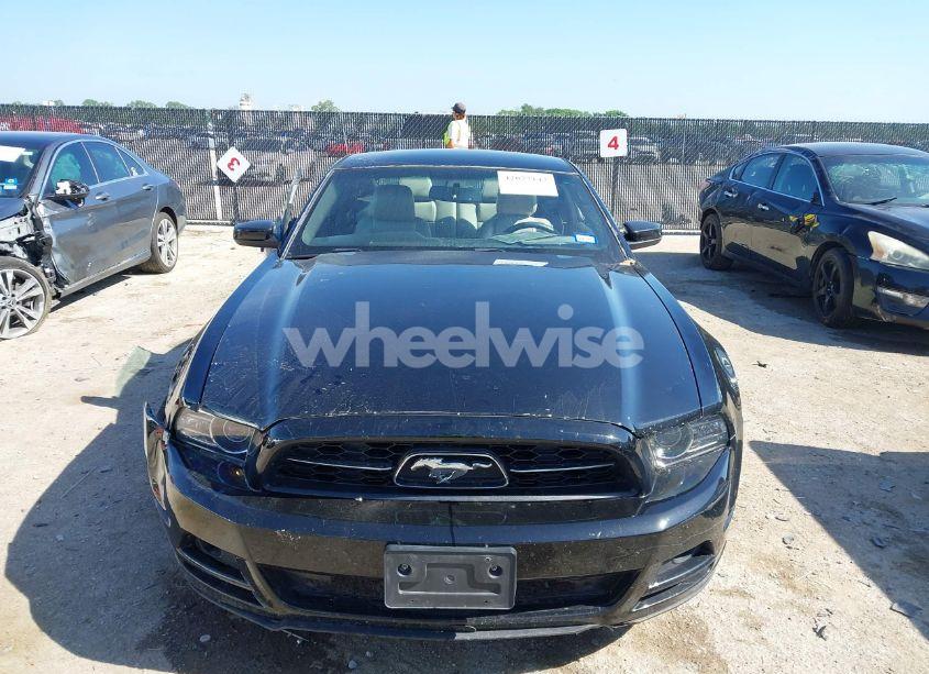 Photo 12 of 2014 Ford Mustang V6 PREMIUM (VIN 1ZVBP8AM7E5259127)