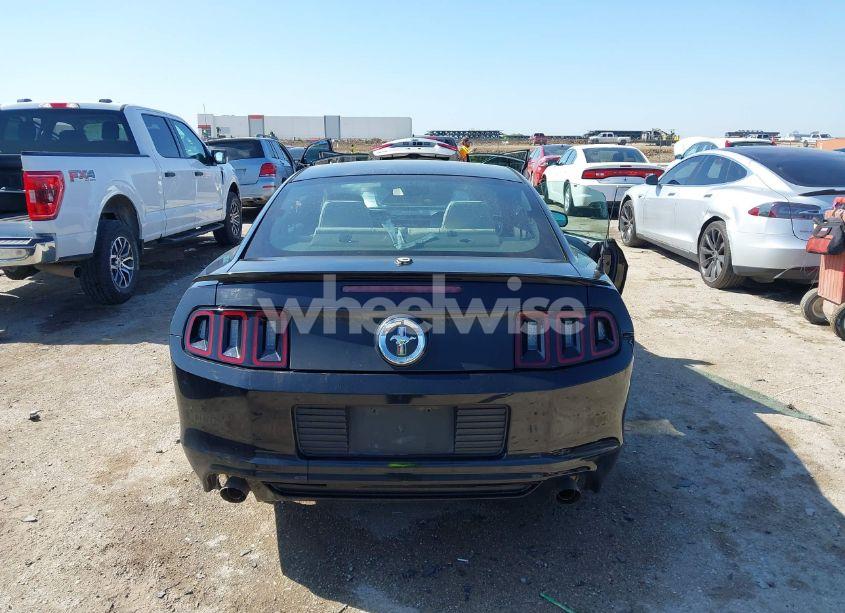 Photo 16 of 2014 Ford Mustang V6 PREMIUM (VIN 1ZVBP8AM7E5259127)