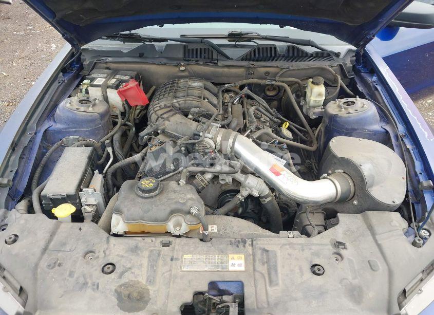 Photo 10 of 2014 Ford Mustang V6 (VIN 1ZVBP8AM7E5267695)