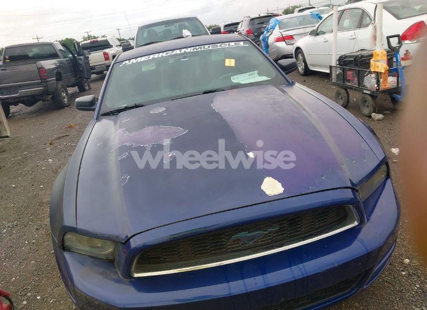 Photo 12 of 2014 Ford Mustang V6 (VIN 1ZVBP8AM7E5267695)