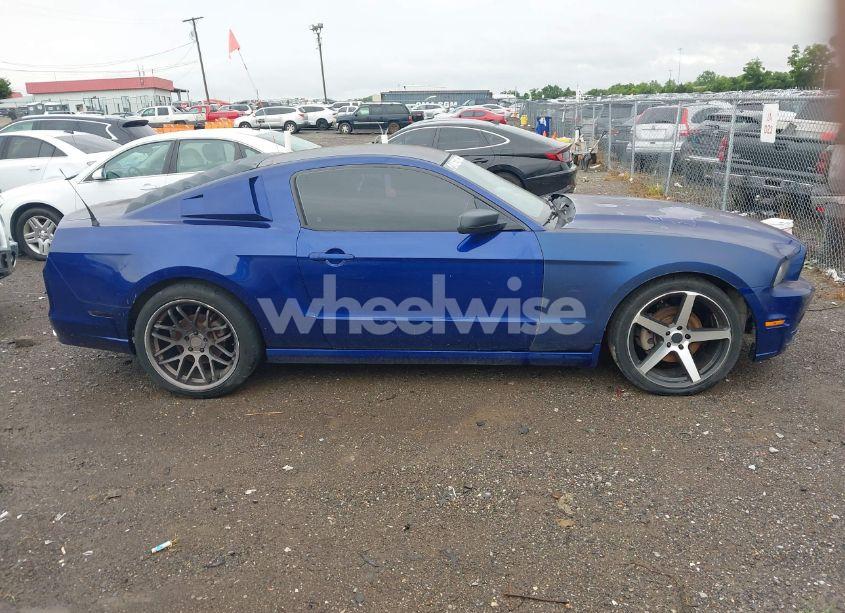 Photo 13 of 2014 Ford Mustang V6 (VIN 1ZVBP8AM7E5267695)