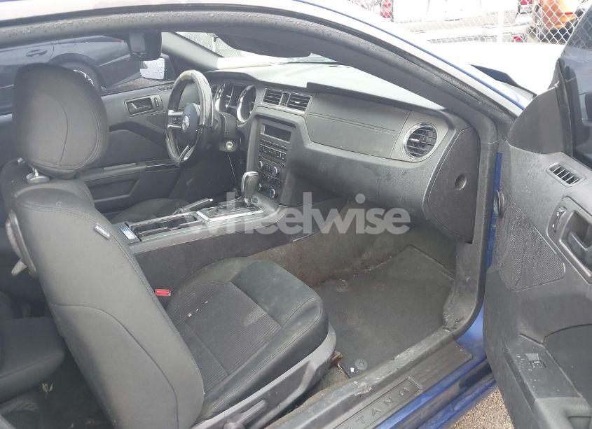 Photo 5 of 2014 Ford Mustang V6 (VIN 1ZVBP8AM7E5267695)