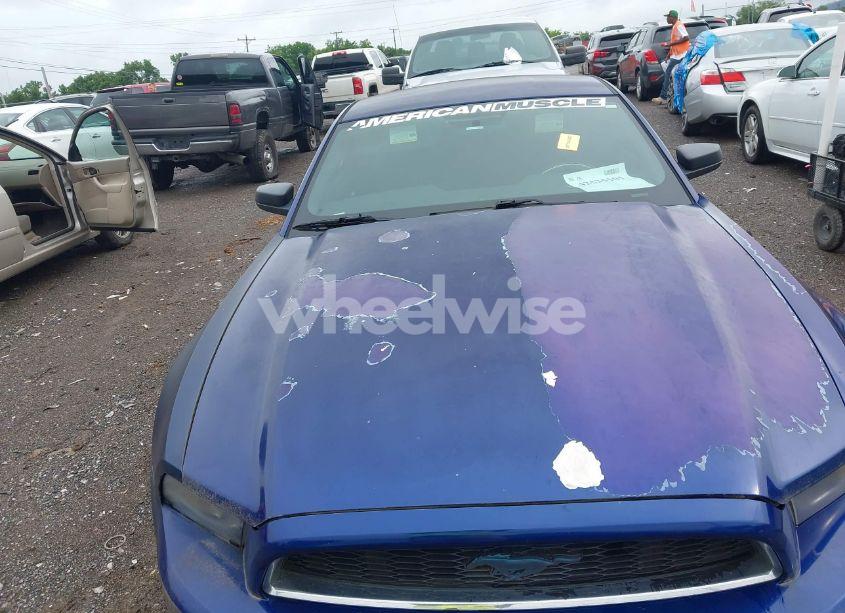 Photo 6 of 2014 Ford Mustang V6 (VIN 1ZVBP8AM7E5267695)