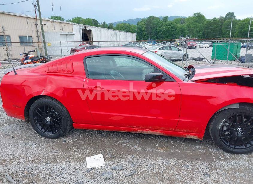 Photo 13 of 2014 Ford Mustang V6 (VIN 1ZVBP8AM7E5276865)