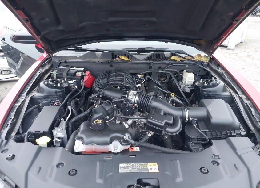 Photo 10 of 2014 Ford Mustang V6 (VIN 1ZVBP8AM7E5280754)