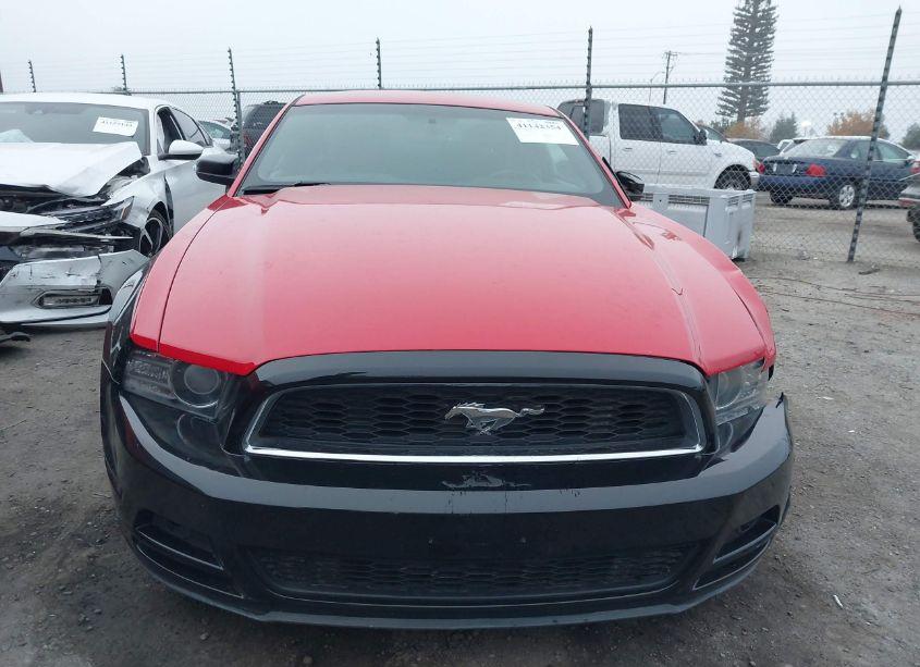 Photo 12 of 2014 Ford Mustang V6 (VIN 1ZVBP8AM7E5280754)