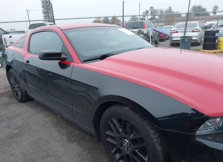 Photo 13 of 2014 Ford Mustang V6 (VIN 1ZVBP8AM7E5280754)