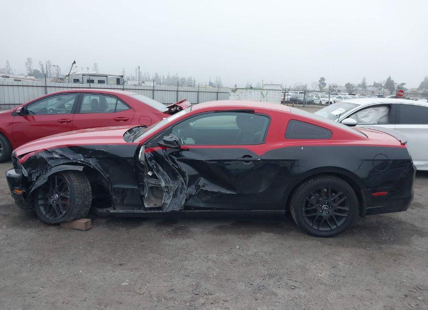 Photo 14 of 2014 Ford Mustang V6 (VIN 1ZVBP8AM7E5280754)