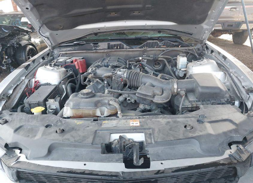 Photo 10 of 2011 Ford Mustang V6 PREMIUM (VIN 1ZVBP8AM8B5119163)