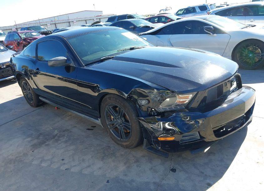 2011 Ford Mustang V6 PREMIUM (VIN 1ZVBP8AM8B5138960) main photo