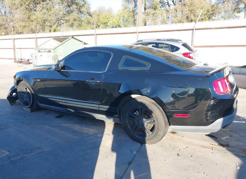 Photo 15 of 2011 Ford Mustang V6 PREMIUM (VIN 1ZVBP8AM8B5138960)