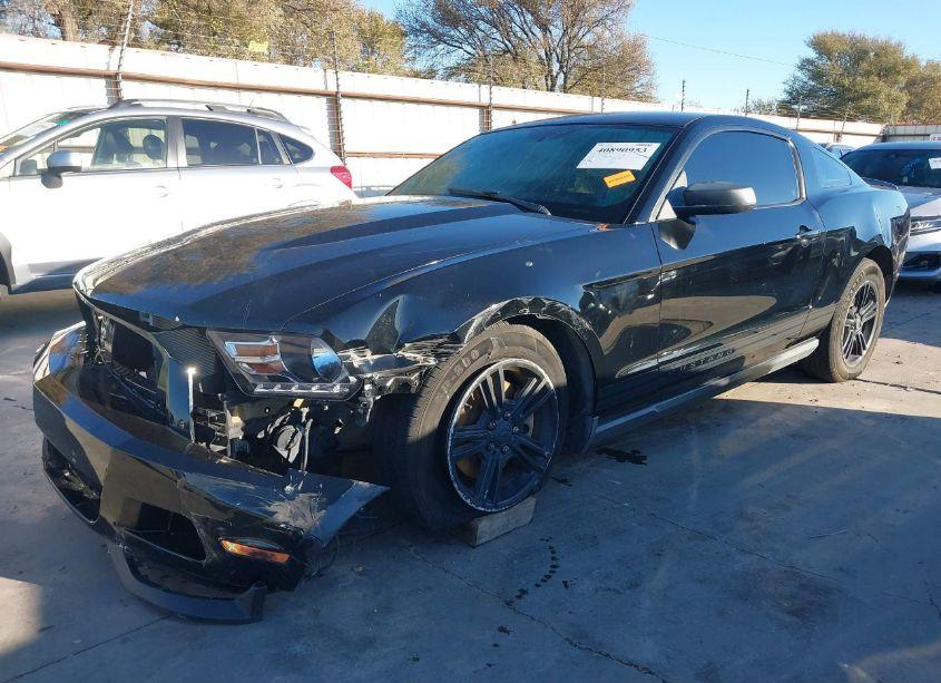 Photo 6 of 2011 Ford Mustang V6 PREMIUM (VIN 1ZVBP8AM8B5138960)