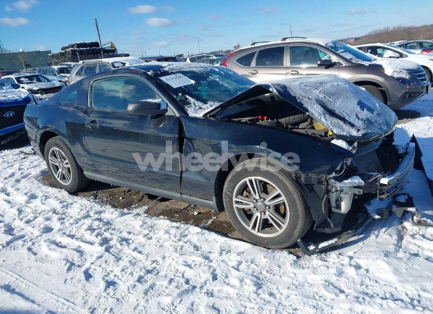 2011 Ford Mustang V6 PREMIUM (VIN 1ZVBP8AM8B5155340) main photo