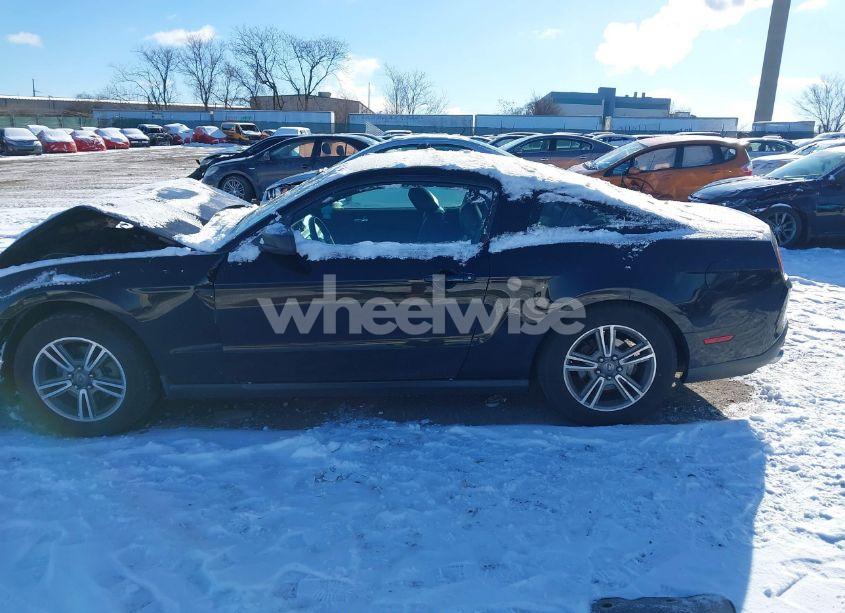 Photo 14 of 2011 Ford Mustang V6 PREMIUM (VIN 1ZVBP8AM8B5155340)