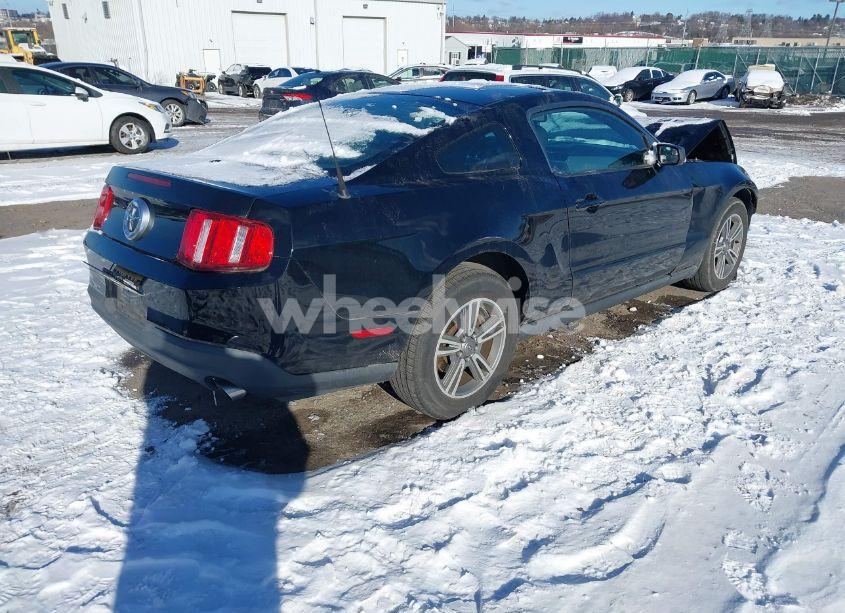Photo 4 of 2011 Ford Mustang V6 PREMIUM (VIN 1ZVBP8AM8B5155340)