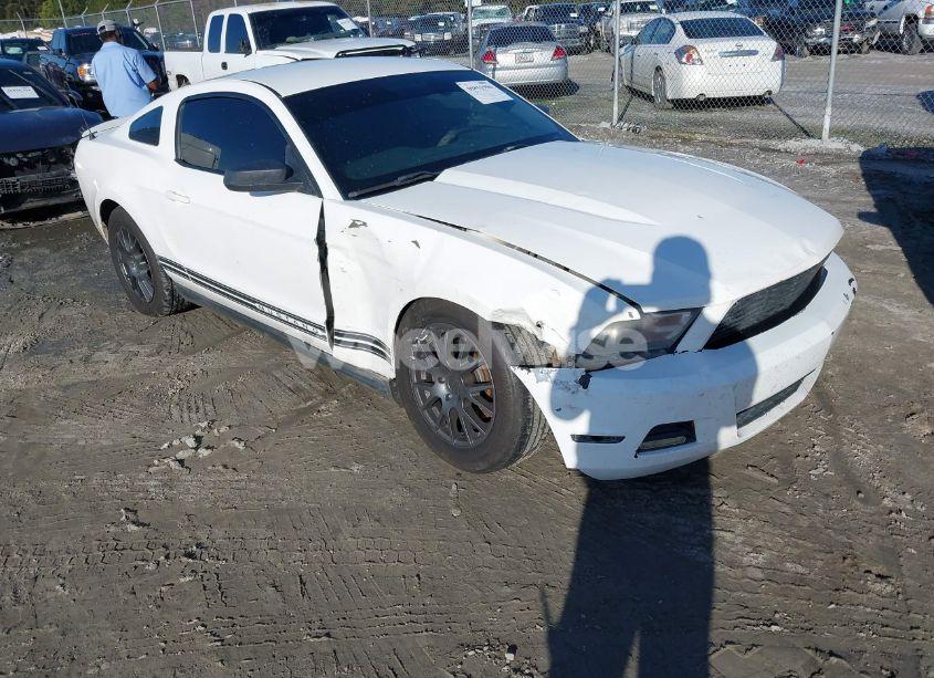 2011 Ford Mustang V6 (VIN 1ZVBP8AM8B5155399) main photo