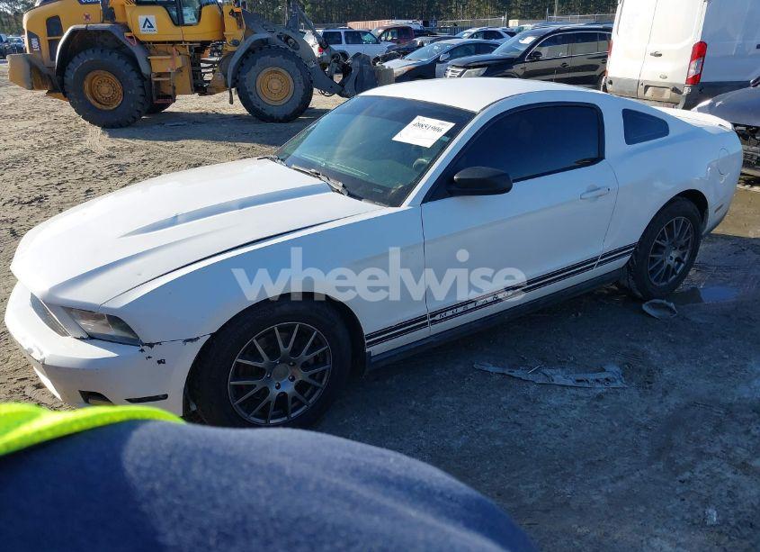 Photo 2 of 2011 Ford Mustang V6 (VIN 1ZVBP8AM8B5155399)