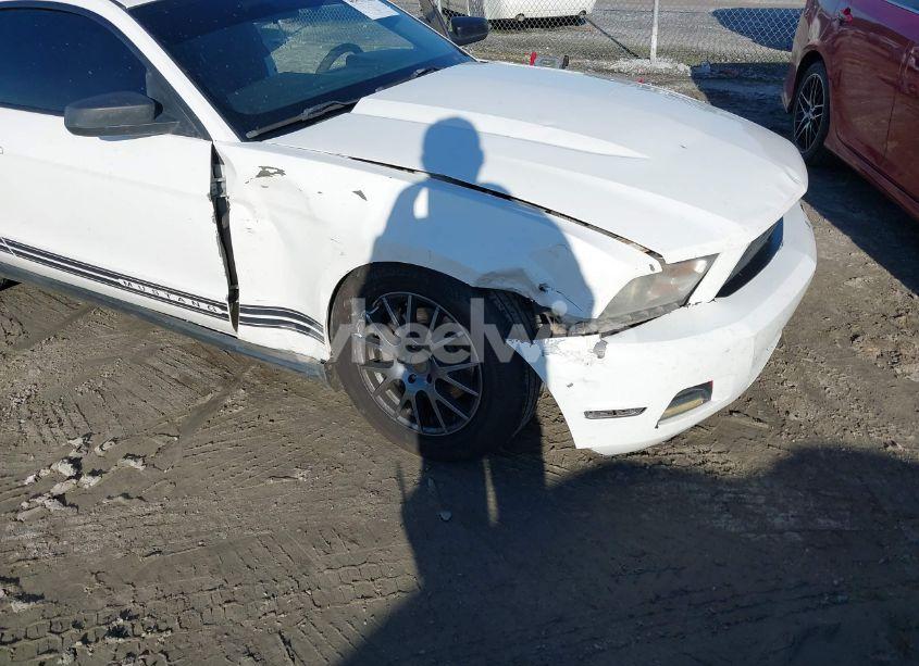 Photo 6 of 2011 Ford Mustang V6 (VIN 1ZVBP8AM8B5155399)