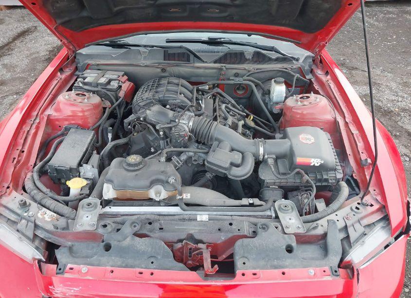 Photo 10 of 2013 Ford Mustang V6 PREMIUM (VIN 1ZVBP8AM8D5222067)