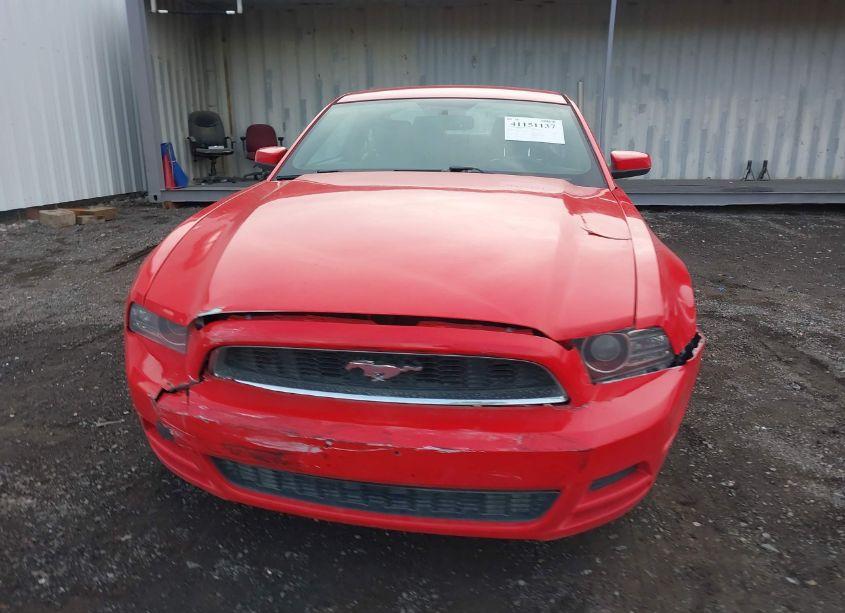 Photo 12 of 2013 Ford Mustang V6 PREMIUM (VIN 1ZVBP8AM8D5222067)