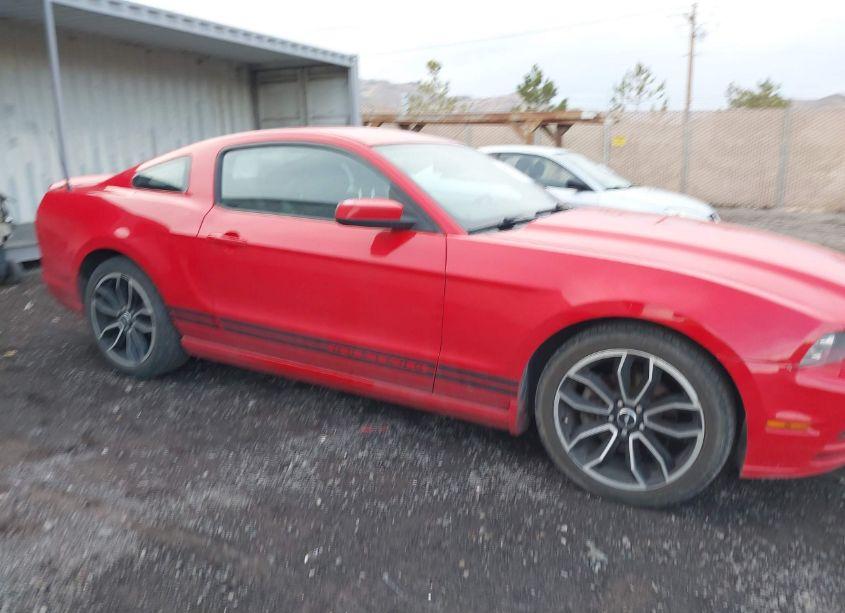 Photo 13 of 2013 Ford Mustang V6 PREMIUM (VIN 1ZVBP8AM8D5222067)