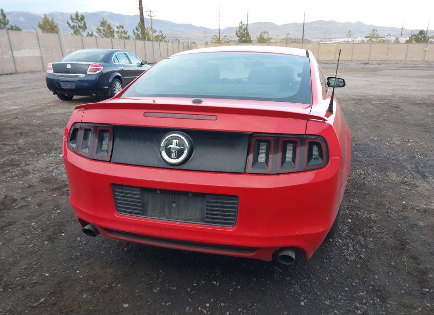Photo 16 of 2013 Ford Mustang V6 PREMIUM (VIN 1ZVBP8AM8D5222067)