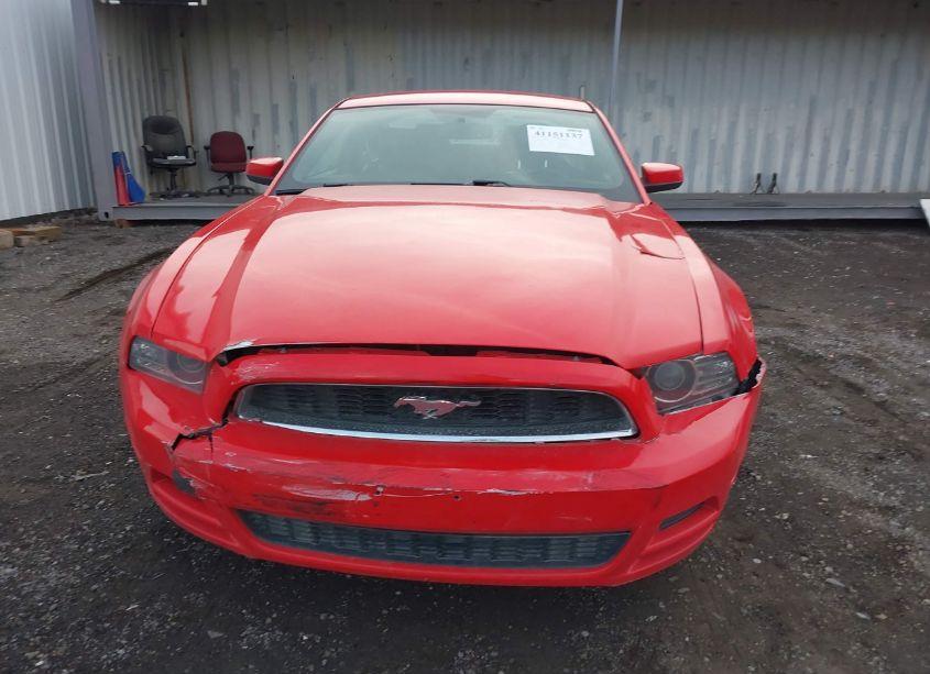 Photo 6 of 2013 Ford Mustang V6 PREMIUM (VIN 1ZVBP8AM8D5222067)
