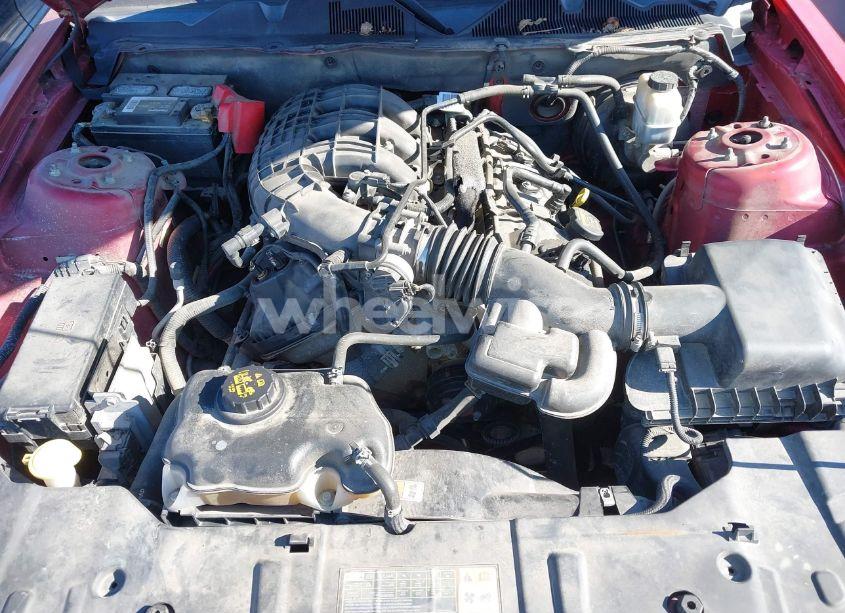 Photo 10 of 2013 Ford Mustang V6 PREMIUM (VIN 1ZVBP8AM8D5225163)