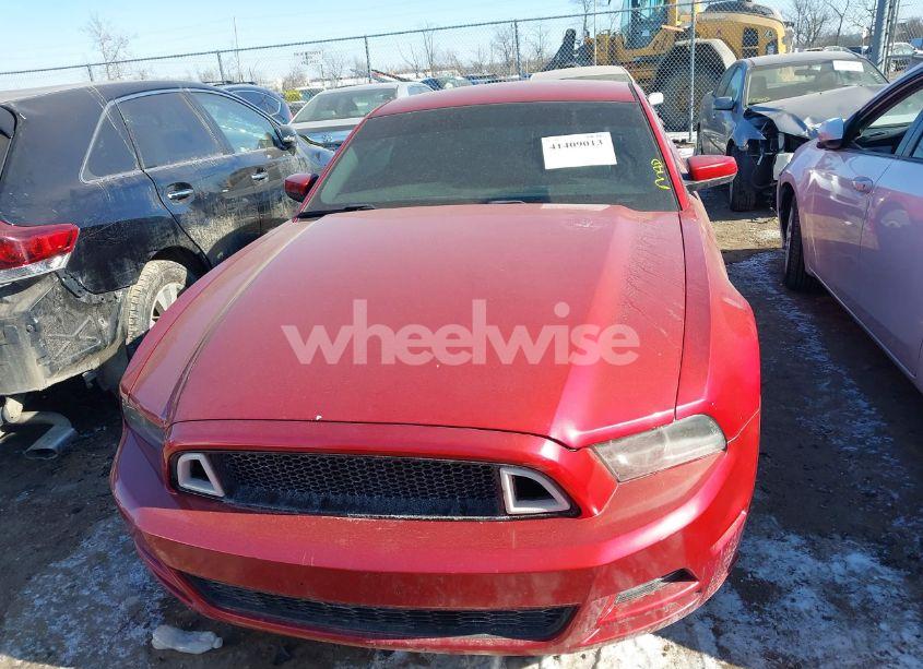 Photo 12 of 2013 Ford Mustang V6 PREMIUM (VIN 1ZVBP8AM8D5225163)