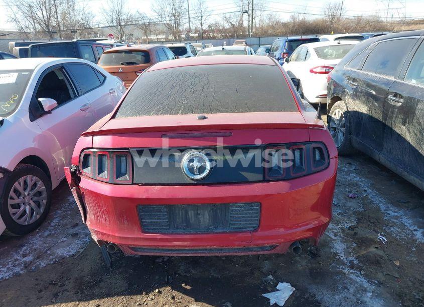 Photo 16 of 2013 Ford Mustang V6 PREMIUM (VIN 1ZVBP8AM8D5225163)