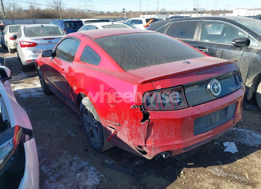 Photo 3 of 2013 Ford Mustang V6 PREMIUM (VIN 1ZVBP8AM8D5225163)