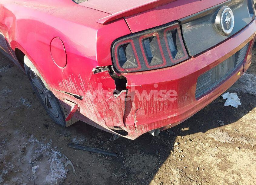 Photo 6 of 2013 Ford Mustang V6 PREMIUM (VIN 1ZVBP8AM8D5225163)