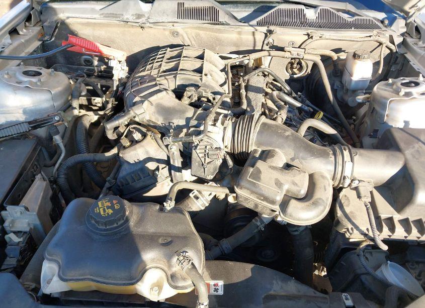 Photo 10 of 2013 Ford Mustang V6 (VIN 1ZVBP8AM8D5231058)