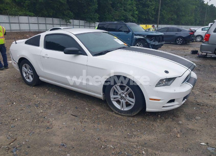 2013 Ford Mustang V6 (VIN 1ZVBP8AM8D5242951) main photo