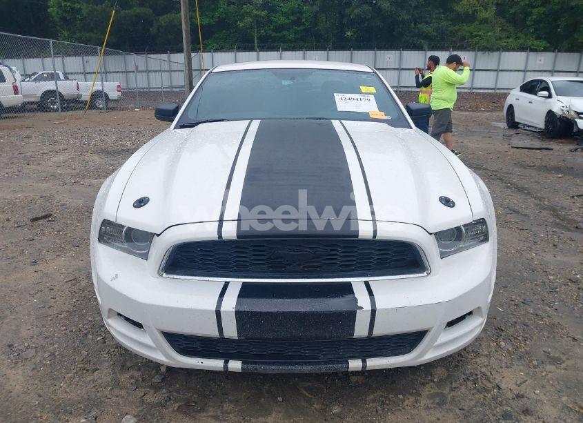 Photo 12 of 2013 Ford Mustang V6 (VIN 1ZVBP8AM8D5242951)