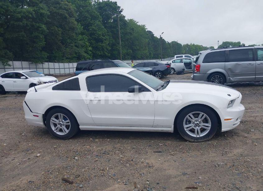 Photo 13 of 2013 Ford Mustang V6 (VIN 1ZVBP8AM8D5242951)