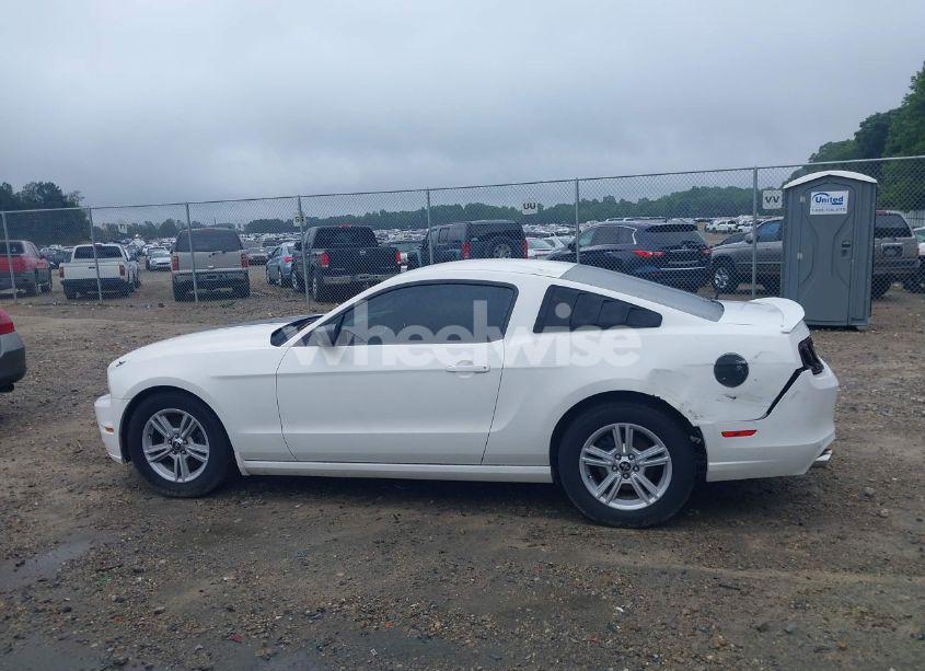 Photo 14 of 2013 Ford Mustang V6 (VIN 1ZVBP8AM8D5242951)
