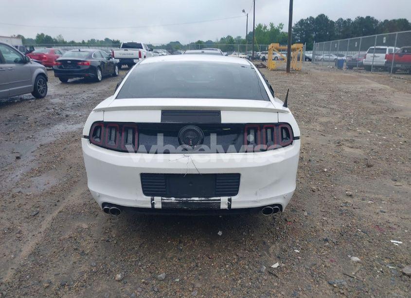 Photo 16 of 2013 Ford Mustang V6 (VIN 1ZVBP8AM8D5242951)
