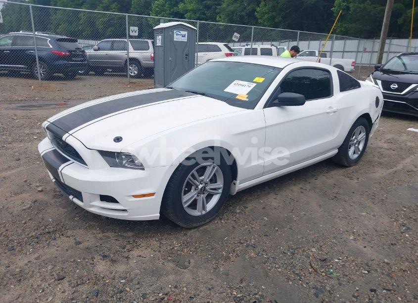 Photo 2 of 2013 Ford Mustang V6 (VIN 1ZVBP8AM8D5242951)