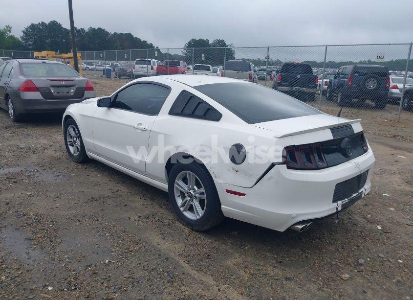 Photo 3 of 2013 Ford Mustang V6 (VIN 1ZVBP8AM8D5242951)
