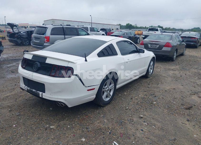 Photo 4 of 2013 Ford Mustang V6 (VIN 1ZVBP8AM8D5242951)