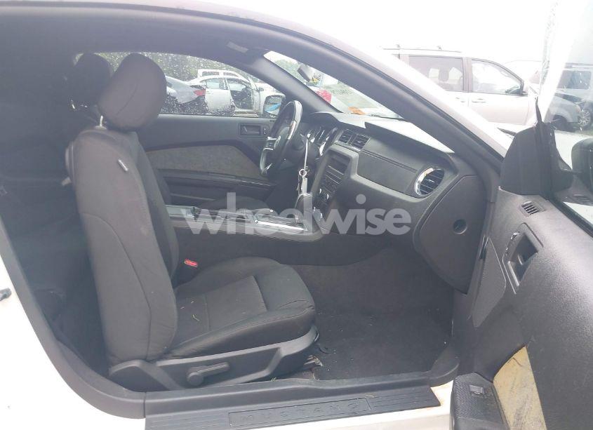 Photo 5 of 2013 Ford Mustang V6 (VIN 1ZVBP8AM8D5242951)