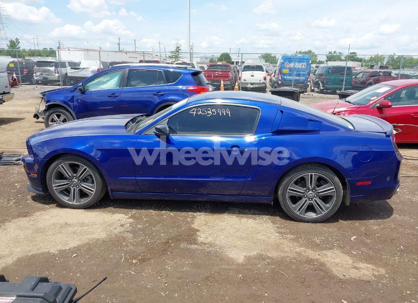 Photo 14 of 2013 Ford Mustang V6 (VIN 1ZVBP8AM8D5254453)