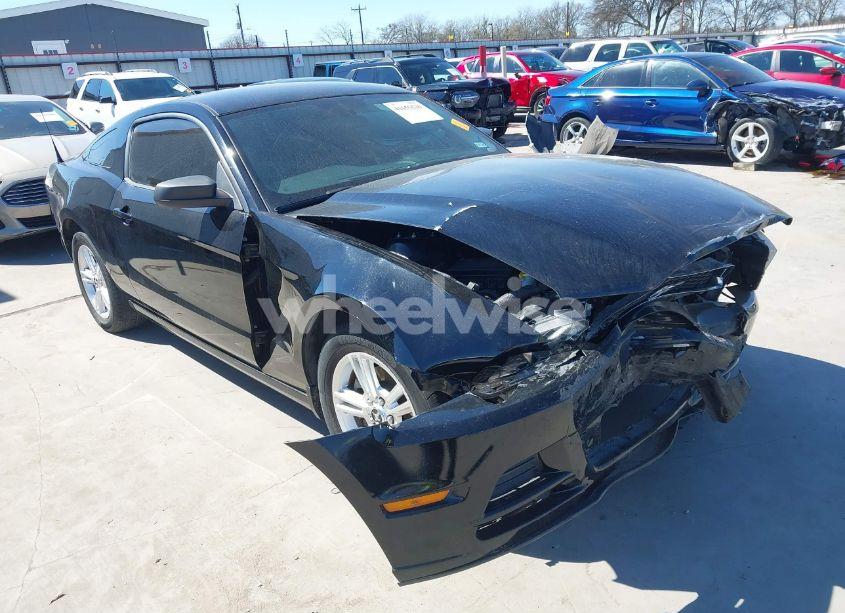 2013 Ford Mustang V6 (VIN 1ZVBP8AM8D5259572) main photo
