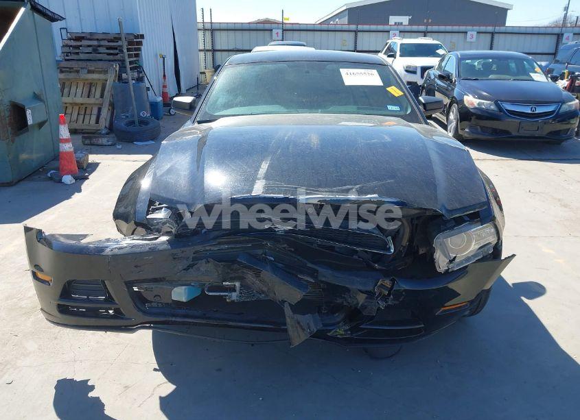 Photo 13 of 2013 Ford Mustang V6 (VIN 1ZVBP8AM8D5259572)