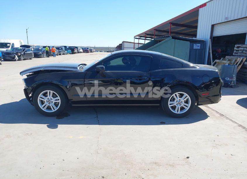 Photo 15 of 2013 Ford Mustang V6 (VIN 1ZVBP8AM8D5259572)