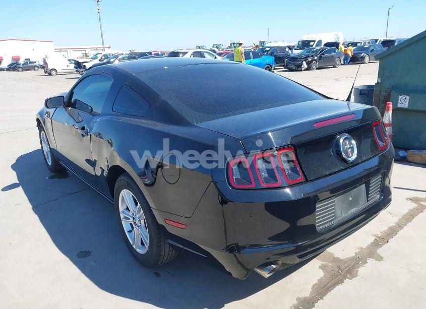 Photo 3 of 2013 Ford Mustang V6 (VIN 1ZVBP8AM8D5259572)