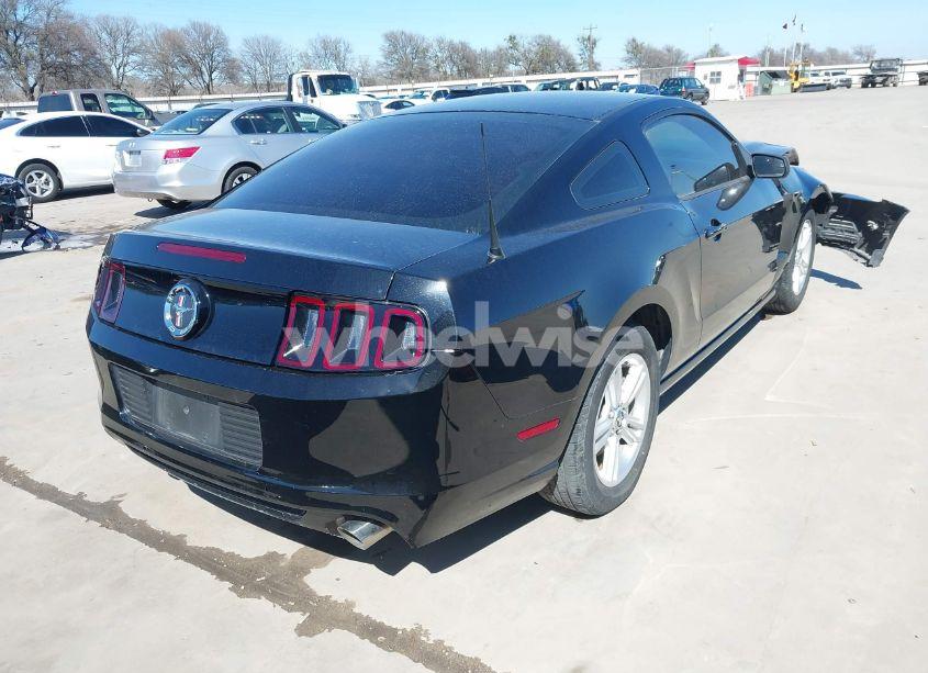 Photo 4 of 2013 Ford Mustang V6 (VIN 1ZVBP8AM8D5259572)