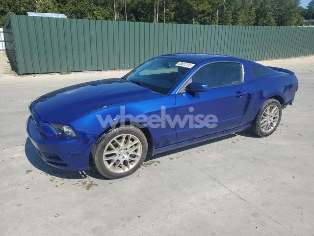 2013 FORD MUSTANG (VIN 1ZVBP8AM8D5273391) main photo