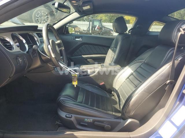 Photo 12 of 2013 FORD MUSTANG (VIN 1ZVBP8AM8D5273391)